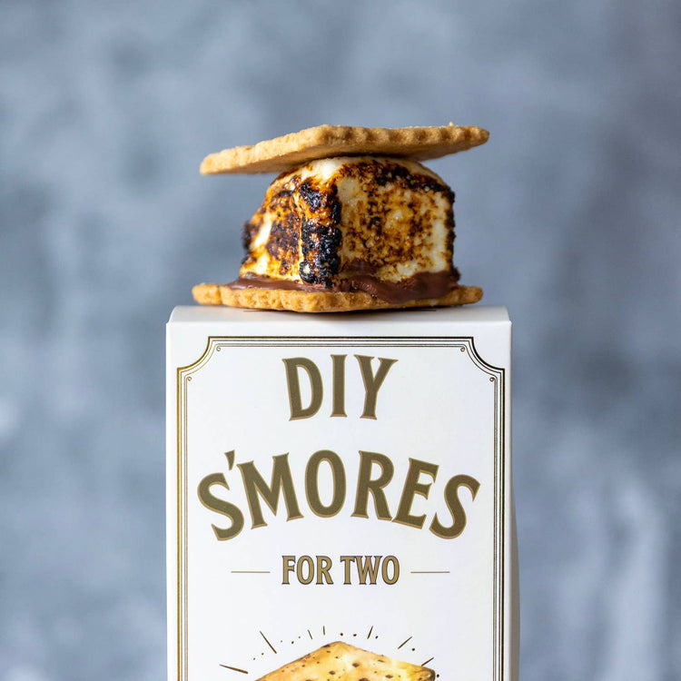 Cloudy Confections Diy S'mores For Two